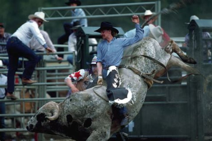 Question: Why Do Ball Riding Bulls Buck