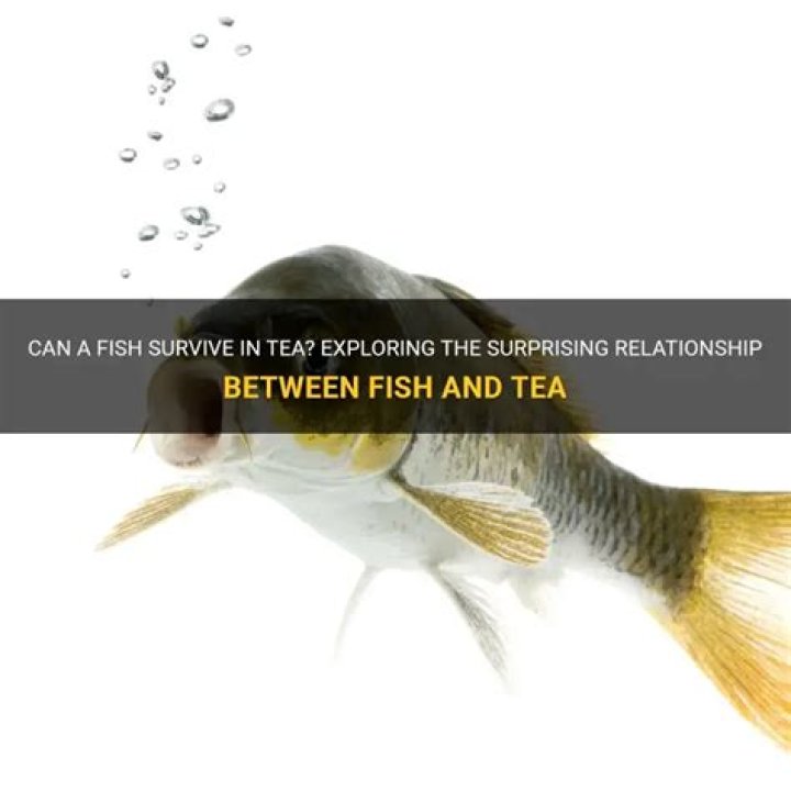 Quick Answer: Can A Fish Survive In Tea