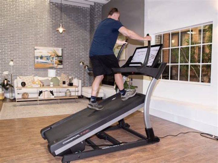 Quick Answer: Can Dog Use Manual Treadmill