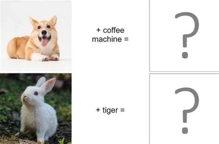 Quick Answer: Can You Take Dogs Into Coffee Shops