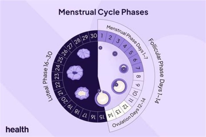 Quick Answer: Can Your Menstrual Cycle Cure A Yeast Infection
