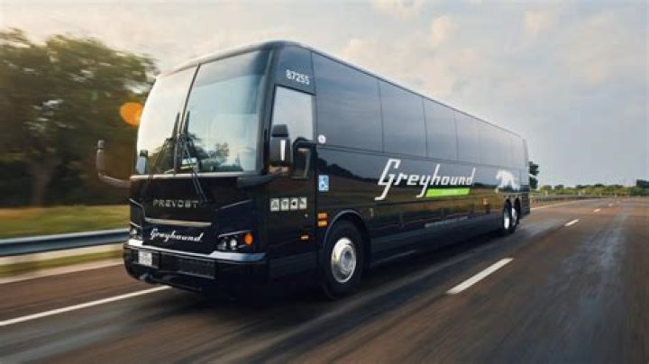 Quick Answer: Do I Need Id To Travel On Greyhound