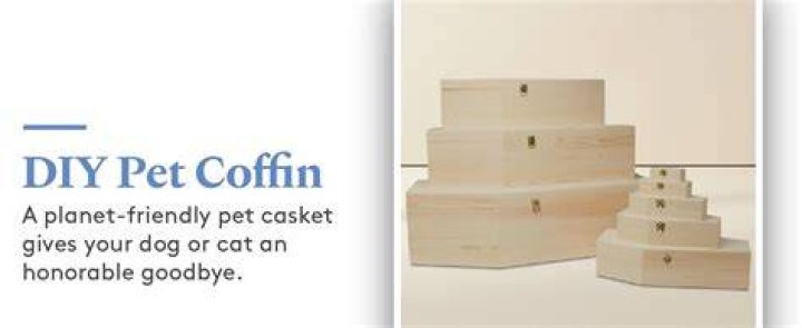 Quick Answer: How Do You Make A Dog Casket