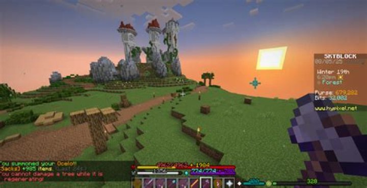Quick Answer: How To Get Max Health Up In Hypixel Skyblock