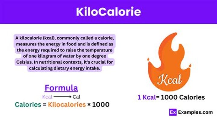 Quick Answer: What Does Kcal Mean In Exercise