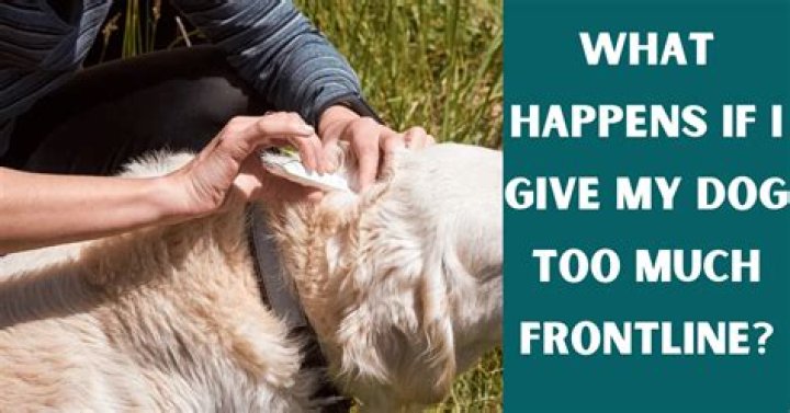 Quick Answer: What Happens If I Give My Dog Too Much Frontline