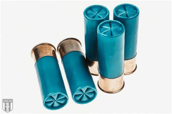 Quick Answer: What Is The Best Shotgun Shell For Deer Hunting