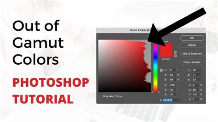 What are gamut warnings in Photoshop and where do you find them