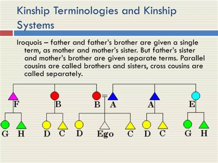 What are kinship terminologies