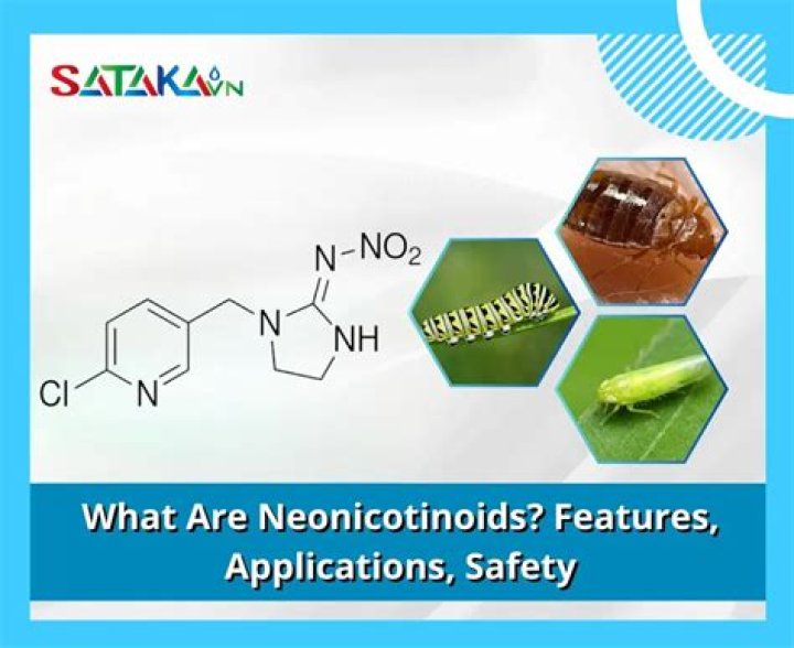 What are neonicotinoids for