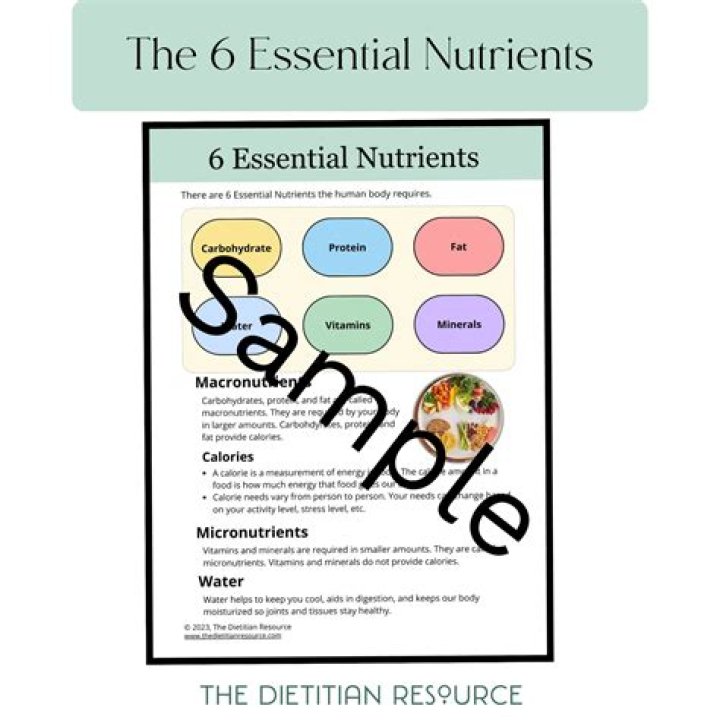What are the 6 essential nutrients quizlet