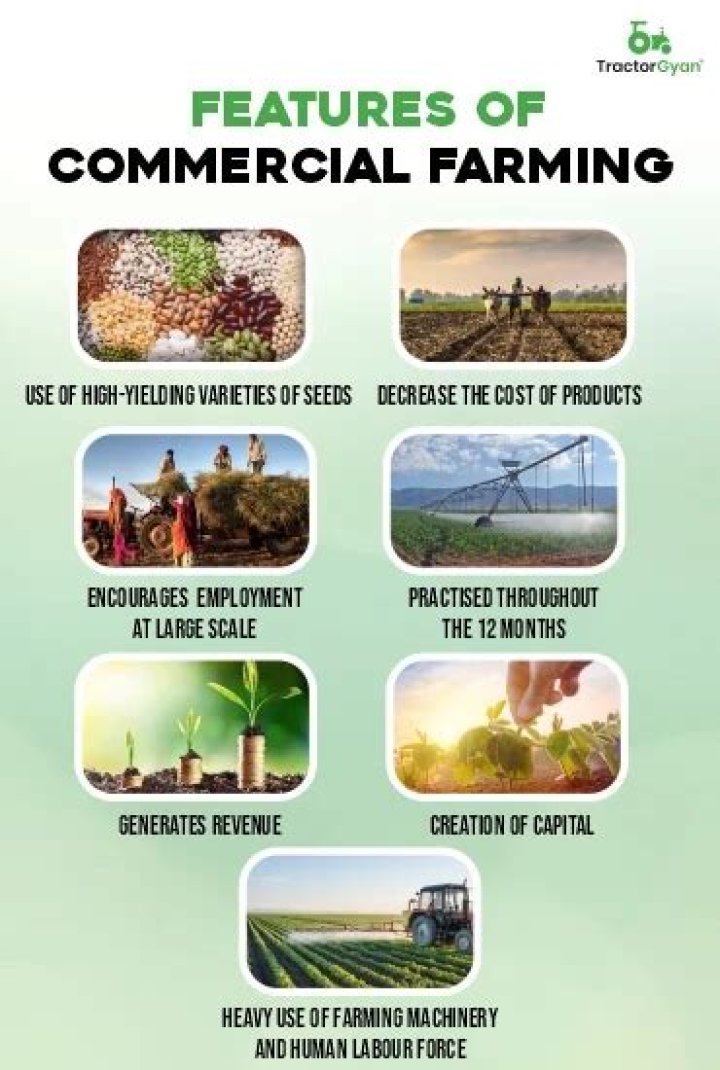 What are the characteristics of commercial agriculture