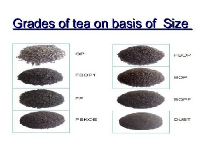What are the different grades of tea