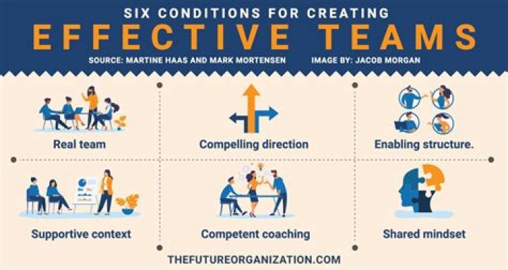 What are the essential conditions for successful team performance
