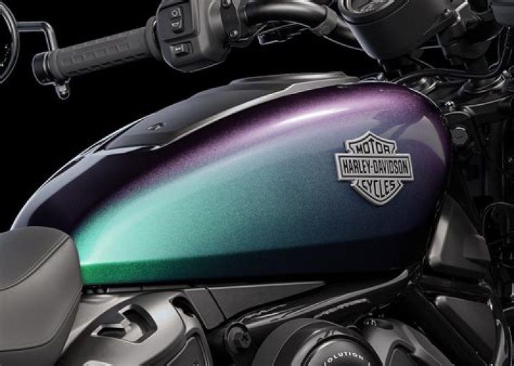 What are the Harley Davidson colors