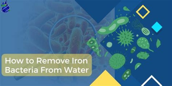 What causes iron bacteria in water