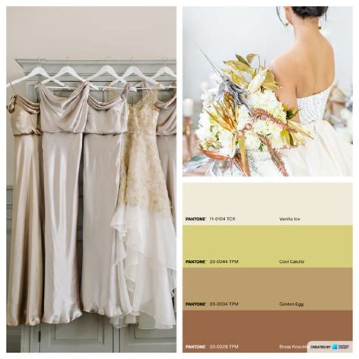 What Colors Match With Champagne
