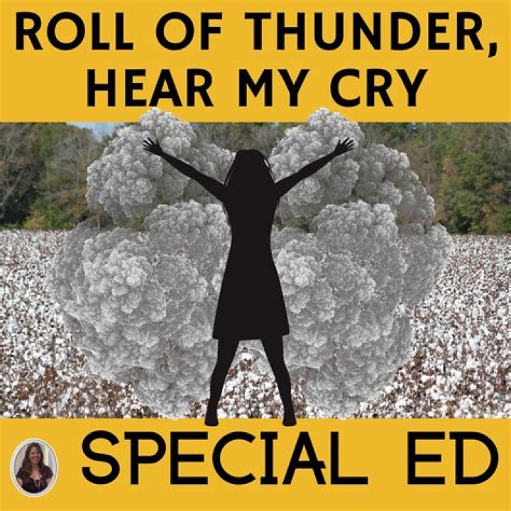 What did TJ do in Roll of Thunder Hear My Cry