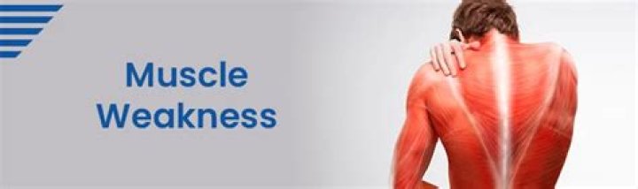 What disease makes your muscles weak