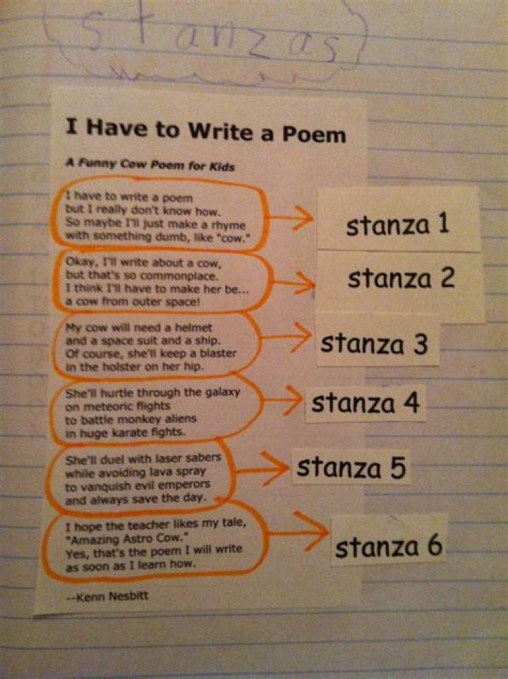 What do you call a stanza with 7 lines