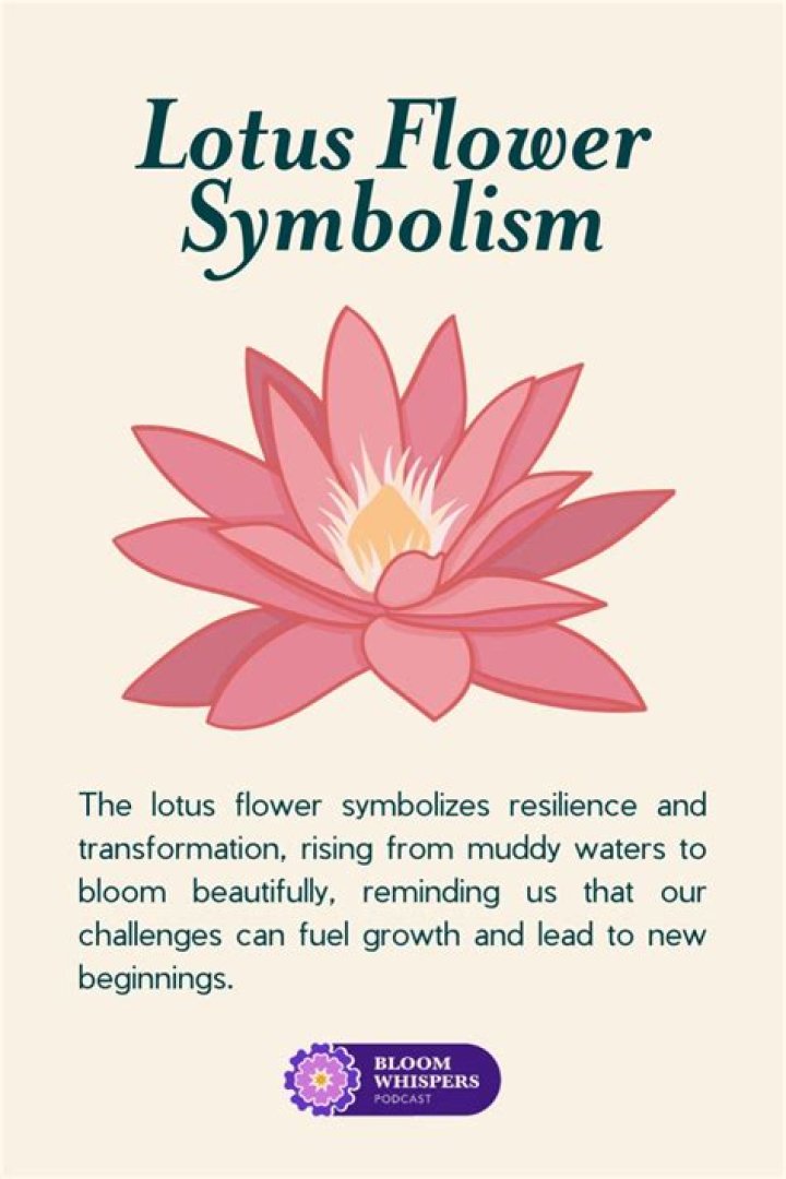 What does a lotus do for skin