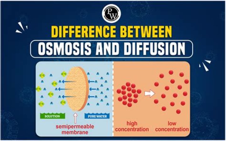 What does diffusion osmosis and facilitated diffusion have in common