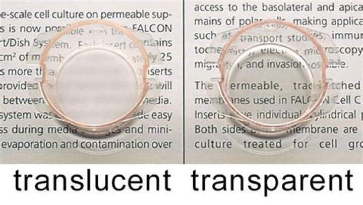 What does translucent mean in paint