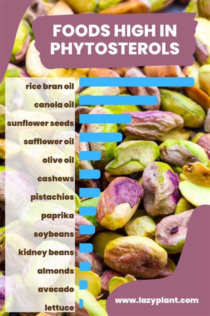What foods are high in phytosterols