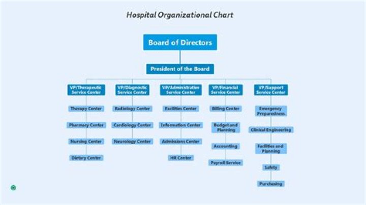 What is an organizational structure in healthcare