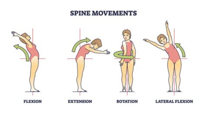 What is anti flexion