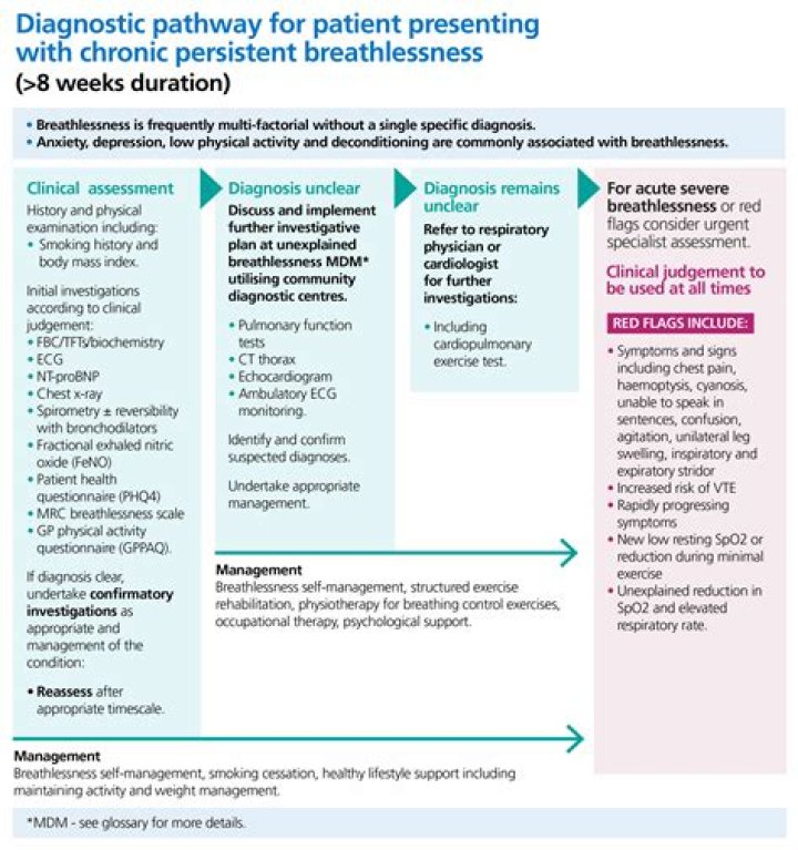 What is dyspnea and respiratory abnormality