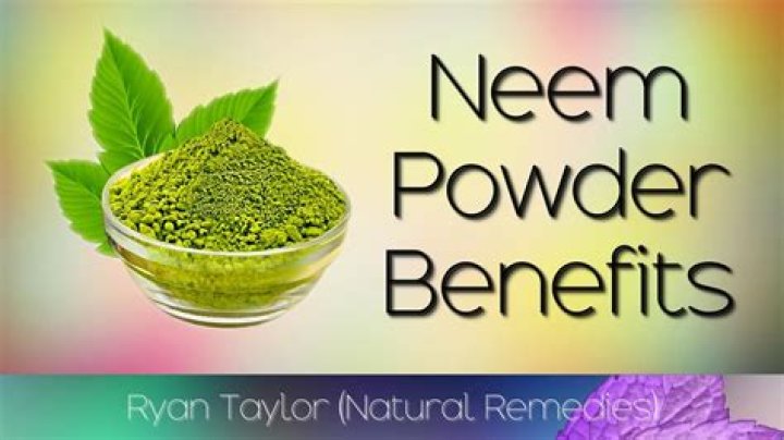 What is neem powder good for
