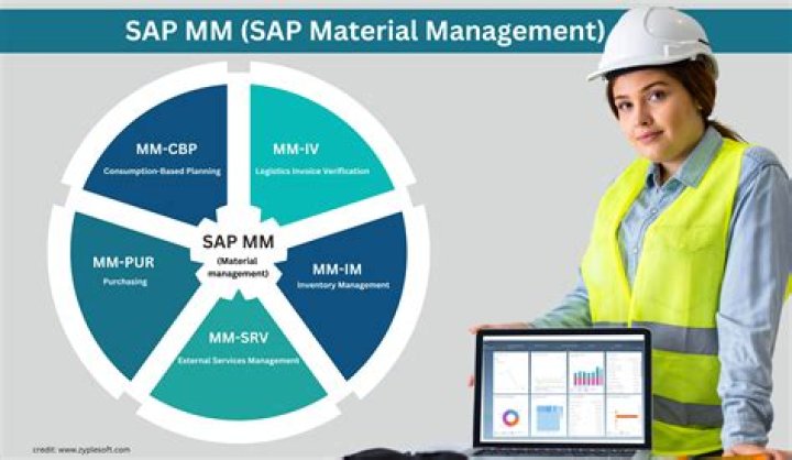 What is SAP MM characteristics
