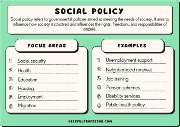 What is social policy for dummies