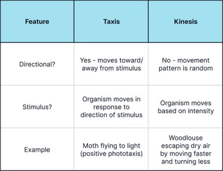 What is taxis and Kinesis in biology