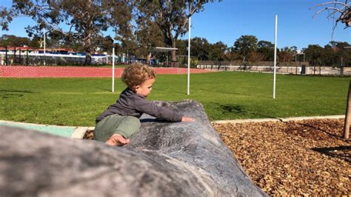 What is the best lawn for Perth