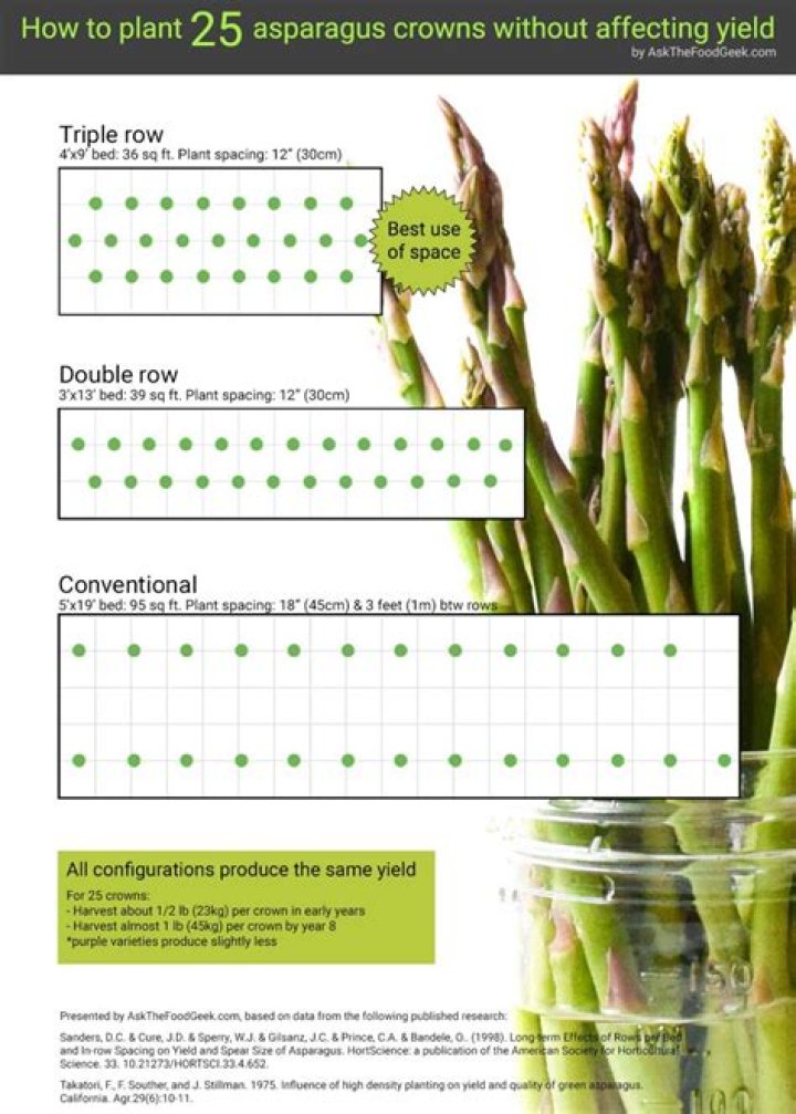 What is the best time to plant asparagus