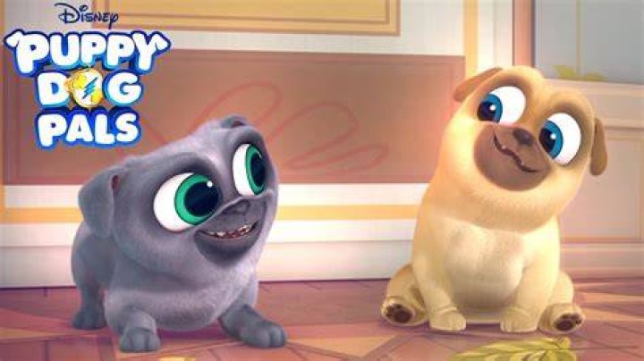What Is The Cat’s Name On Puppy Dog Pals
