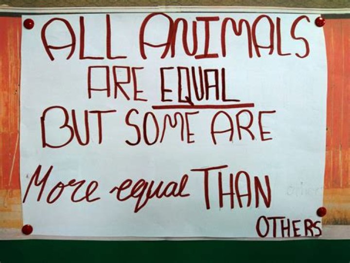 What is the lesson contained in the final single commandment all animals are equal but some animals are more equal than others