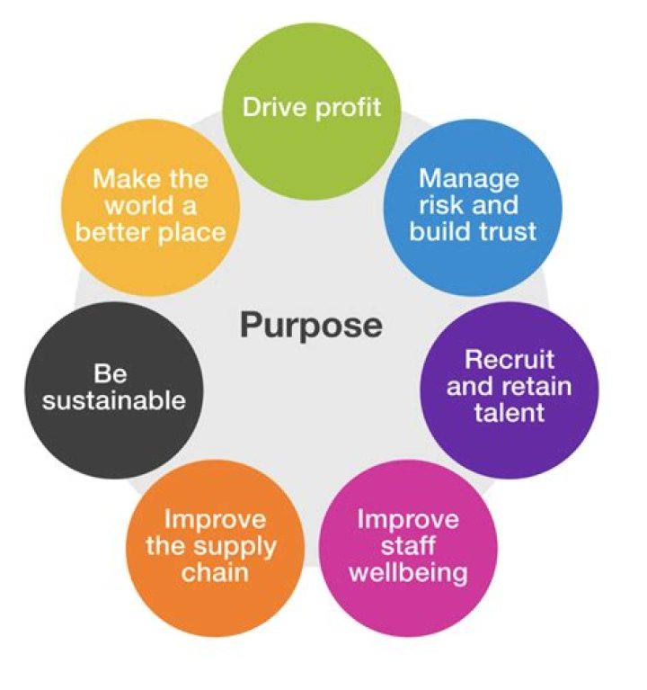 What is the purpose of a cattle drive