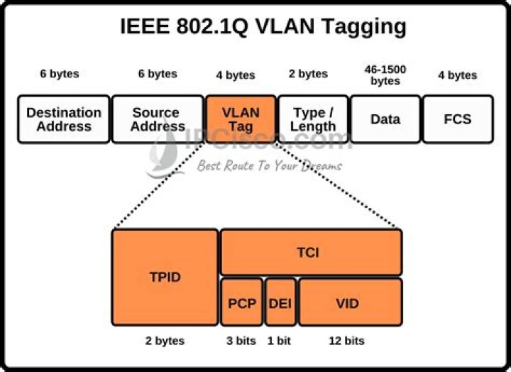What is the purpose of the native VLAN in 802 Q trunking