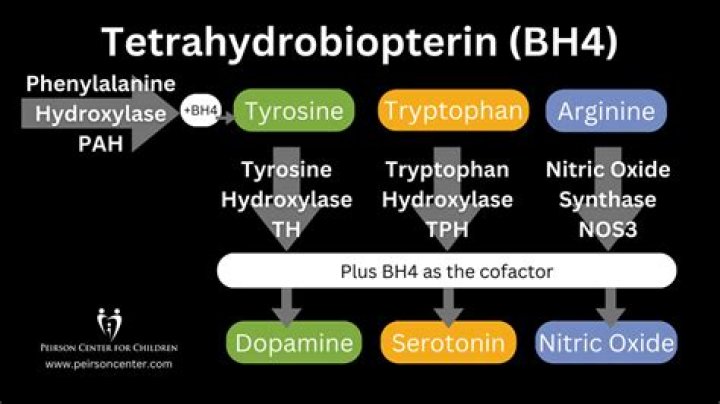 What is the role of tetrahydrobiopterin