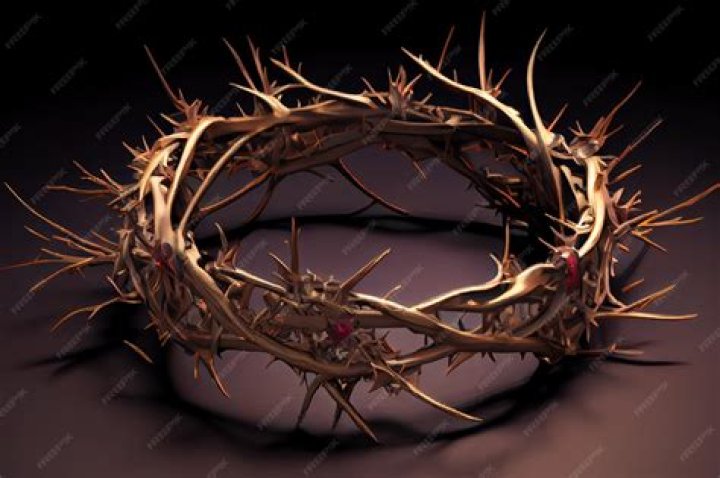 What kind of thorns were on Jesus crown