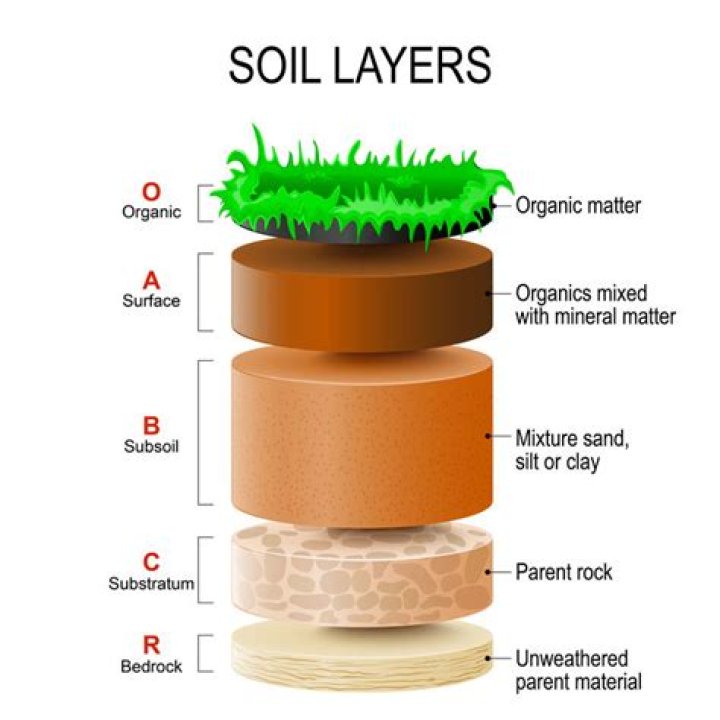 What layer is considered the B layer of soil