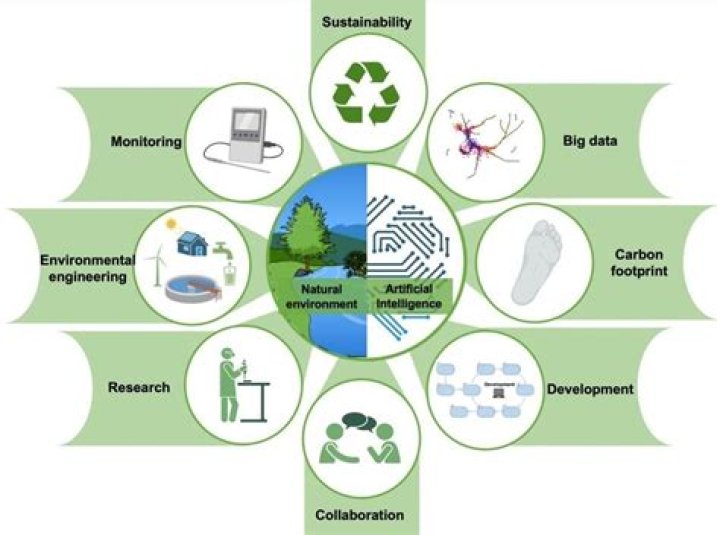 What role does environment play in intelligence