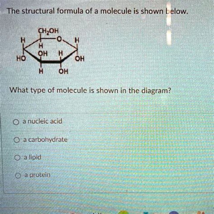 What type of molecule is DNA quizlet