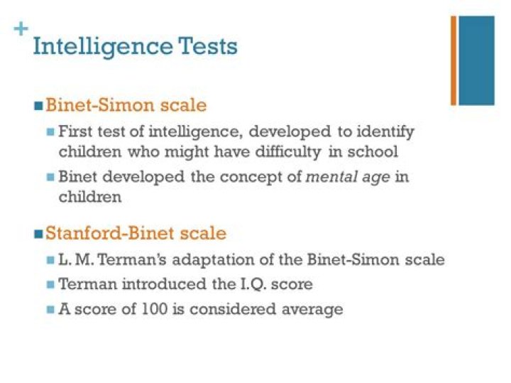 What was one of the major limitations of the Binet Simon Test