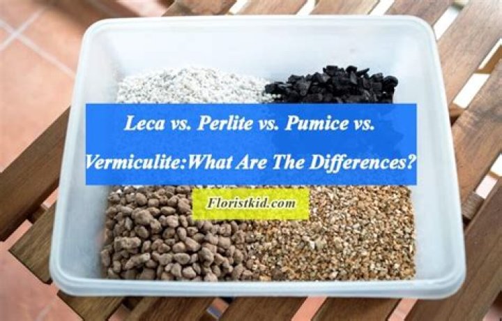 Whats the difference between perlite and pumice