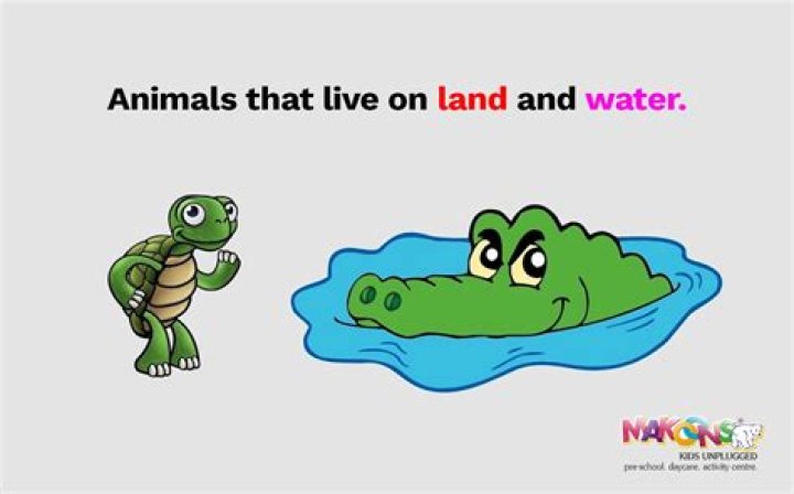 When did animals move from water to land