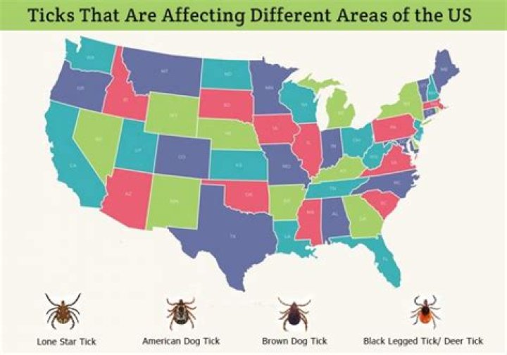 Where are ticks the worst